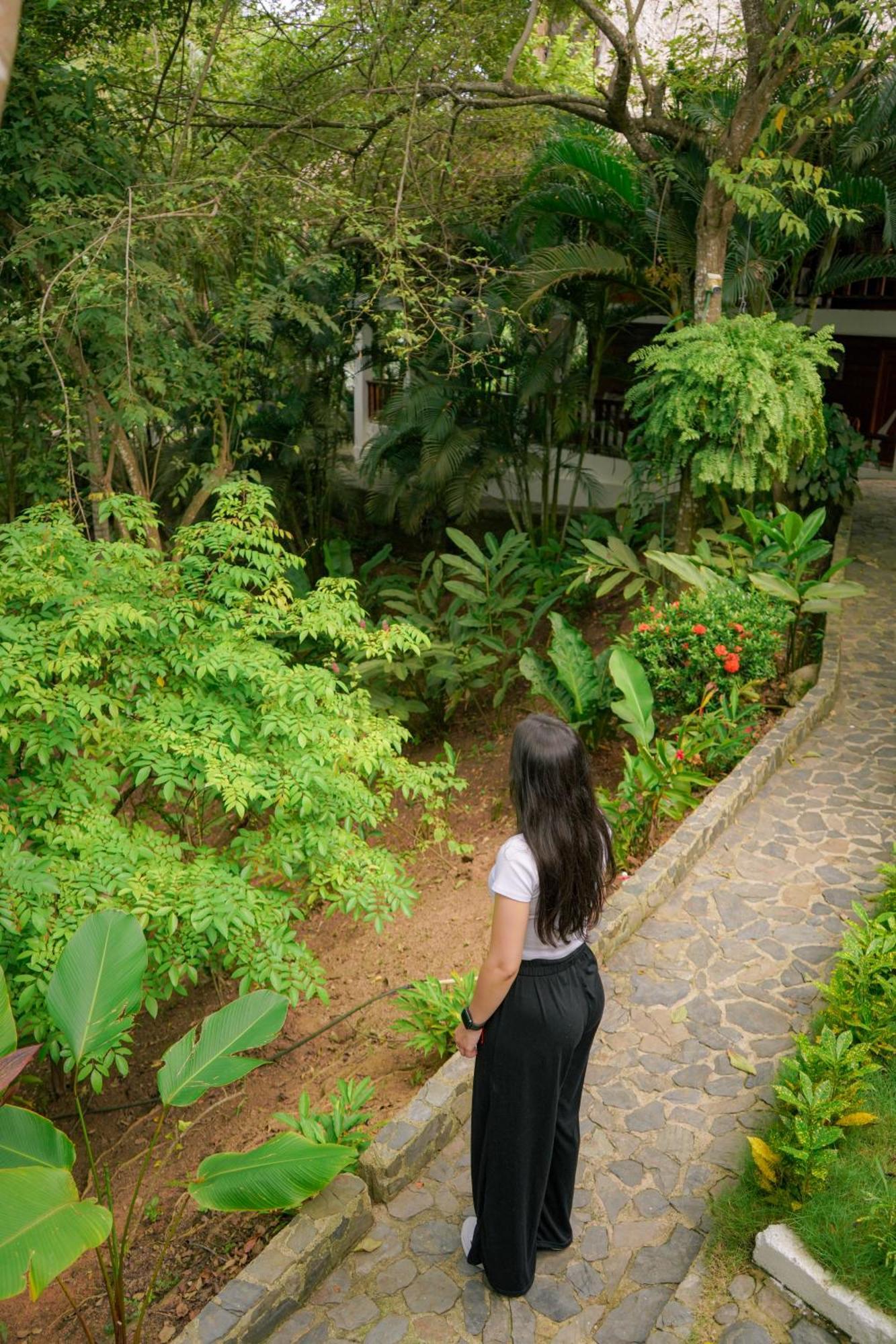 Ecohotel Yachay Tayrona Dentro Del Parque Tayrona 埃尔扎伊诺 外观 照片