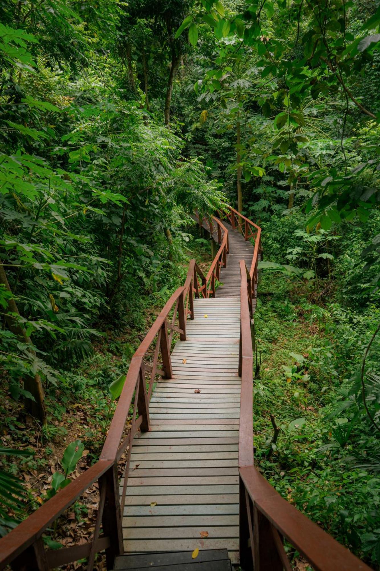 Ecohotel Yachay Tayrona Dentro Del Parque Tayrona 埃尔扎伊诺 外观 照片