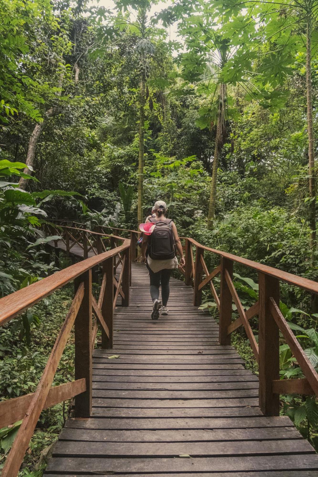 Ecohotel Yachay Tayrona Dentro Del Parque Tayrona 埃尔扎伊诺 外观 照片