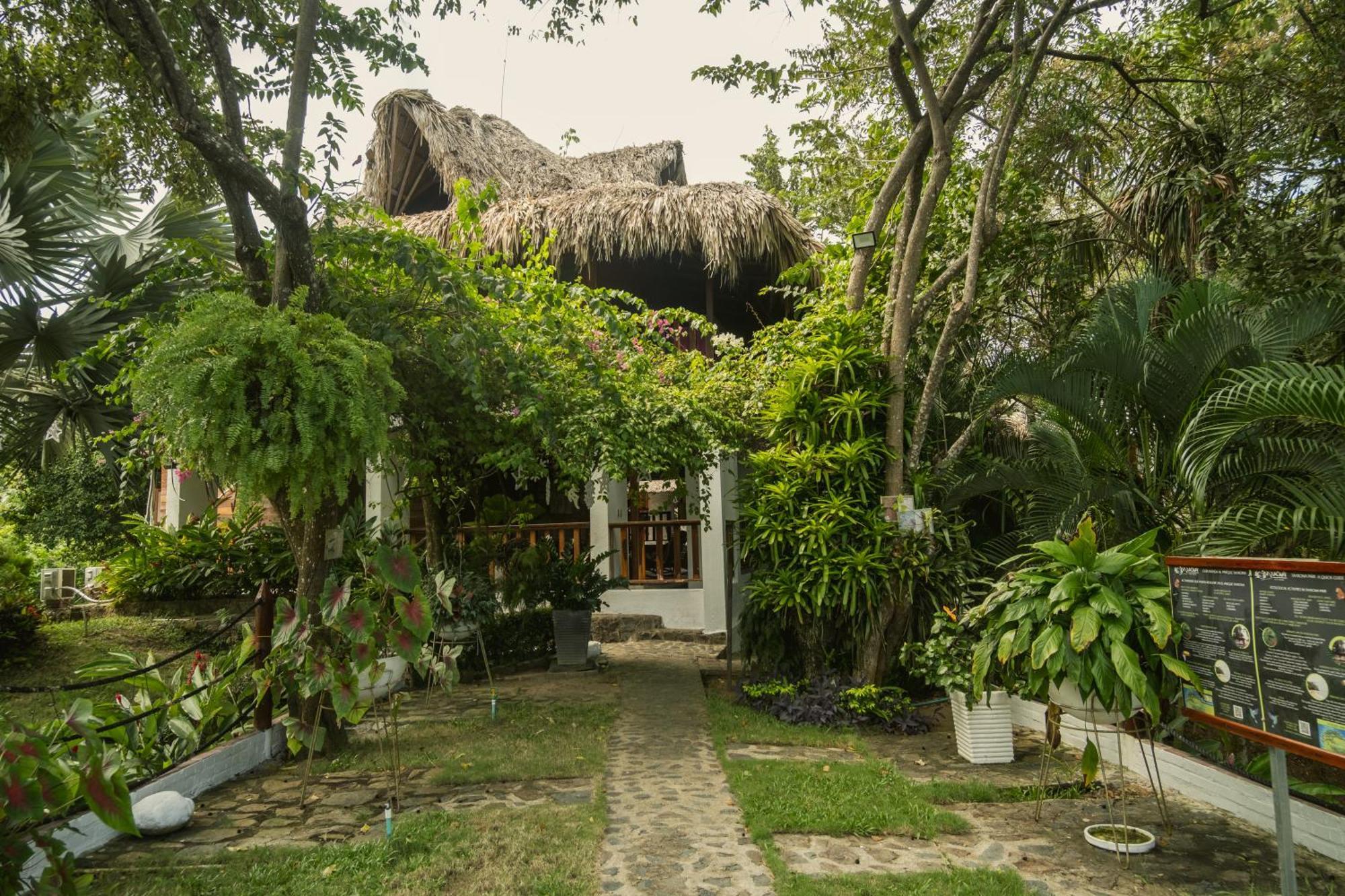 Ecohotel Yachay Tayrona Dentro Del Parque Tayrona 埃尔扎伊诺 外观 照片